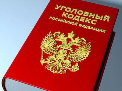 В Фонде двоюродного племянника Путина назвали издание УК для подростков вредным