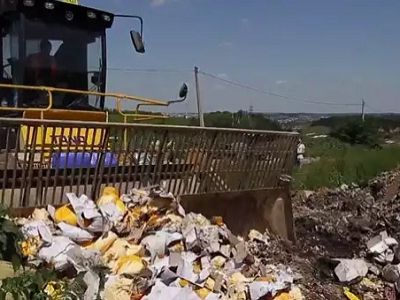 В Челябинске уничтожили девять тонн свежих польских яблок