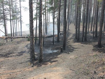 В Прибайкалье от пожара пострадали более миллиона гектаров земли