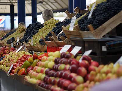 Иран увеличит поставки фруктов и специй в Челябинскую область