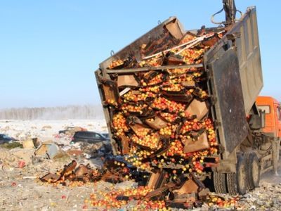 Подготовка к уничтожению яблок. Фото: Россельхознадзор