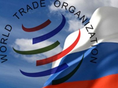 ВТО впервые приняла решение по пошлинам против России