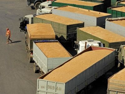 Правительство обнулило экспортную пошлину на пшеницу на два года