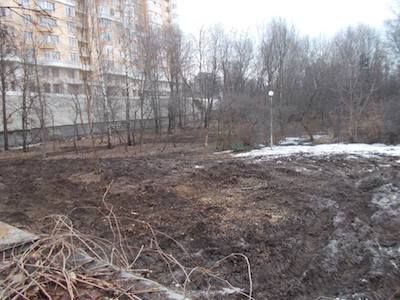 В Москве на территории Дома ветеранов кино вырубают деревья ради стройки высоток