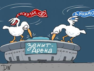 Виновники найдены! Бакланы и "Зенит-арена". Карикатура С.Елкина, источники - dw.com, www.facebook.com/sergey.elkin1