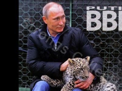 Календарь с Путиным. Фото: mirror.co.uk