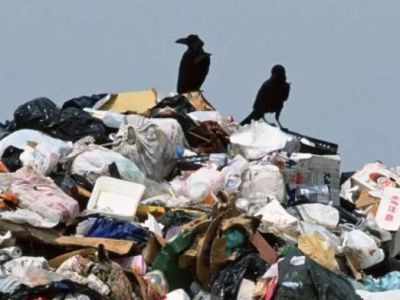 Свердловский ГУФСИН предлагает отдать переработку мусора заключенным