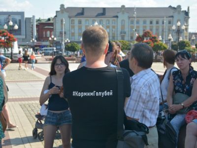 В Калининграде суд передумал закрывать дело против активистов, кормивших голубей